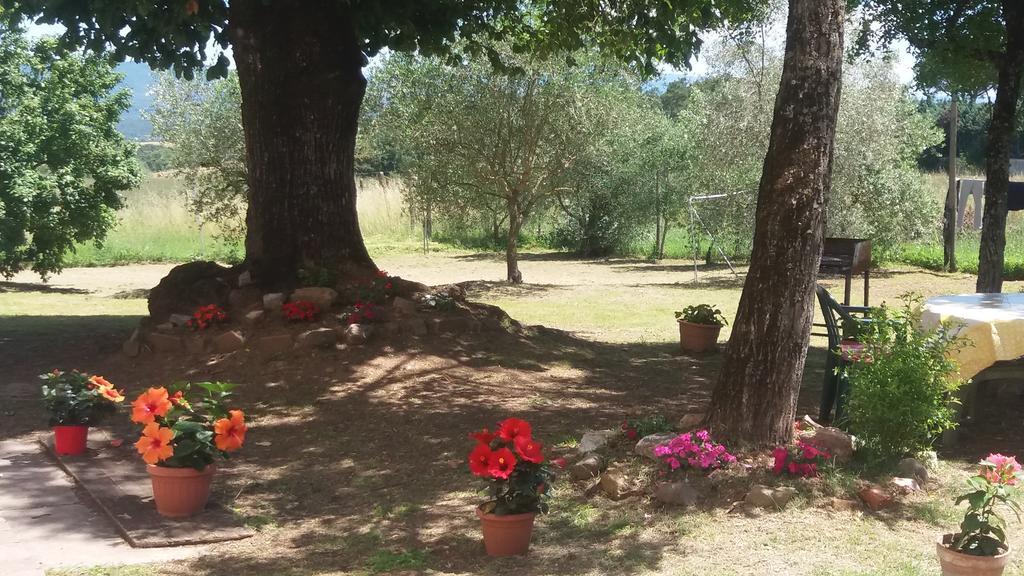 Bed and Breakfast Azzurre BeB Laterina Esterno foto
